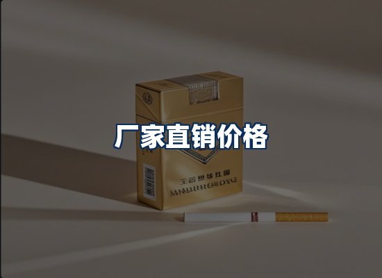 专业团队办公环境